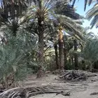 جريد الي يبيه يتواصل معاي