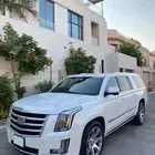 اسكاليد ابيض طويل وكاله