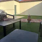 استراحة للإجار