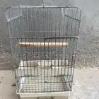 قفص درة او كاسو