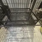 قفص فاخر ارتفاع فوق 2 متر وعرض متر ونص