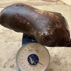 الطعام