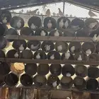 عشه هنديات من نوع الوحشيات حلوات