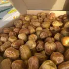 سكري مفتل