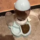 بوكس ومستلزمات قط