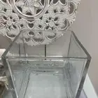 حض سمك شب جديد