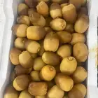 روثانه