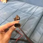 زنون