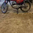 دباب سزوكي مقلد