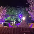 استراحه بصك زراعي مساحه الصك الاجماليه 80 الف