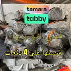 جير بكس مازدا