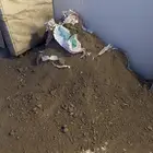 رمل