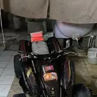 دباب سويدي للبيع الصاما يجي خاص يتواصل معي اوريه بمقاطع.