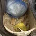 ملابس مكانس كهربائي سرير حق موليد حافظة طعام كهرباء