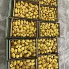 رطب خلاص نظيف