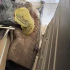 عمود دبل اكسبلور 2013