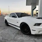 للبيع جنوط موستنق شلبي