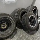 جنوط للبيع دوج رام