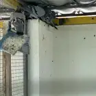 حمام ولع للصقور