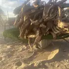 صندوق هايلكس