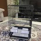 المبرز