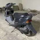 دباب بطة للبيع