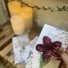توزيعات عيد الأضحي بأقل الأسعار