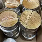 عسل سدر شبواني