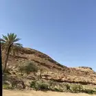 احد جاي من طريف الي عرعر او سكاكا يكلمني لاهنتم