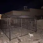شبك