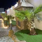تصميم حدايق وانشاء ملاعب وجميع الجداريات الخارجيه ثريدي تود