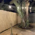 خيزران ديكور