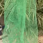 القصيم
