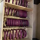 يايات كرايسلر SRT 2013