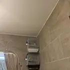 كناري سوري تغريد