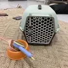 ملتزمات قطط
