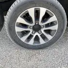 جنوط 20 سكويا