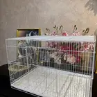 قفص كبير و عريض للببغاء و الطيور