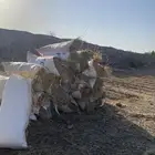 نجم رعي بنبنك غنم