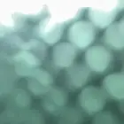 مطلوب شقة للايجار (غرفه  صاله  مطبخ)