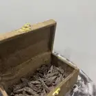 عود تايقر للبيع