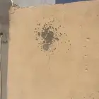 شوزل ام وحده مصورتها نار