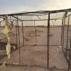 شبك حمام