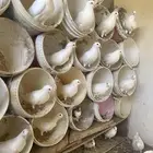 حمام فرنسي جامبو