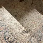 سجاد بوهيمي