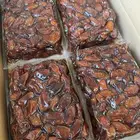 خلاص الخرج حبه وسط مضمود للبيع