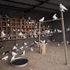 حمام خارجي للبيع