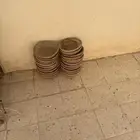 فخار بيض حمام