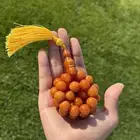 سبحة فاتوران راهي 15 ملي