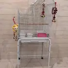 قفص طيور